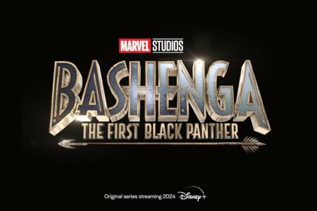 bashenga the first black panther concept fan art