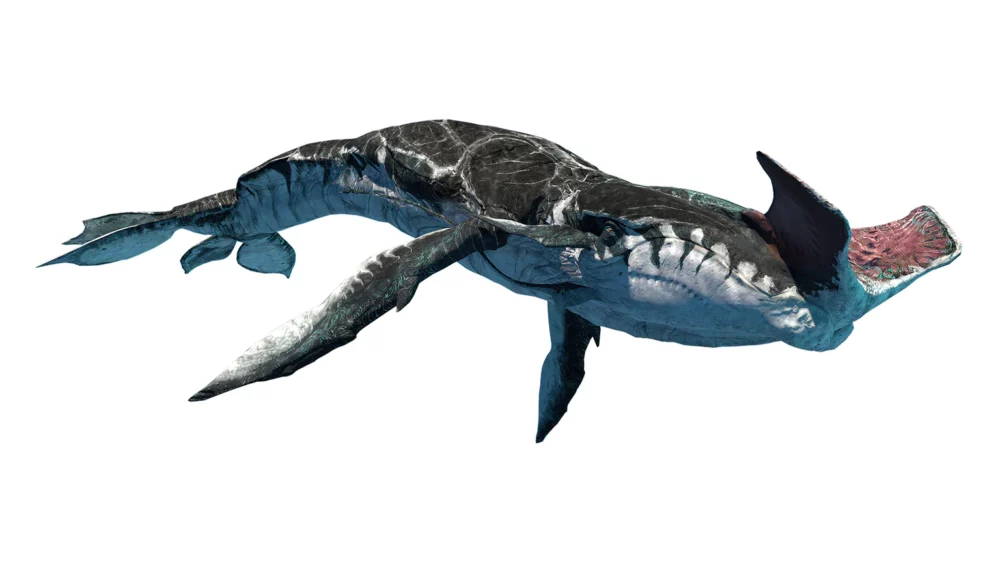 talkun space whale avatar the way of water